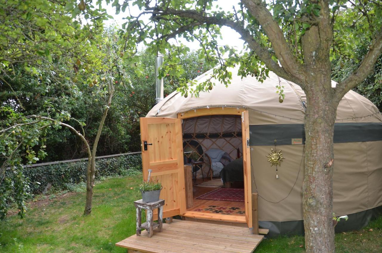 Stamford Meadows Glamping With Private Hot Tubs Hotell Exteriör bild