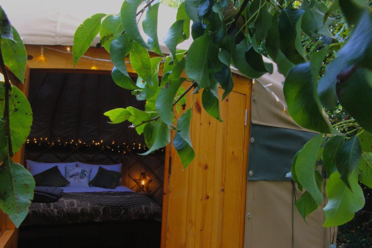 Stamford Meadows Glamping With Private Hot Tubs Hotell Exteriör bild